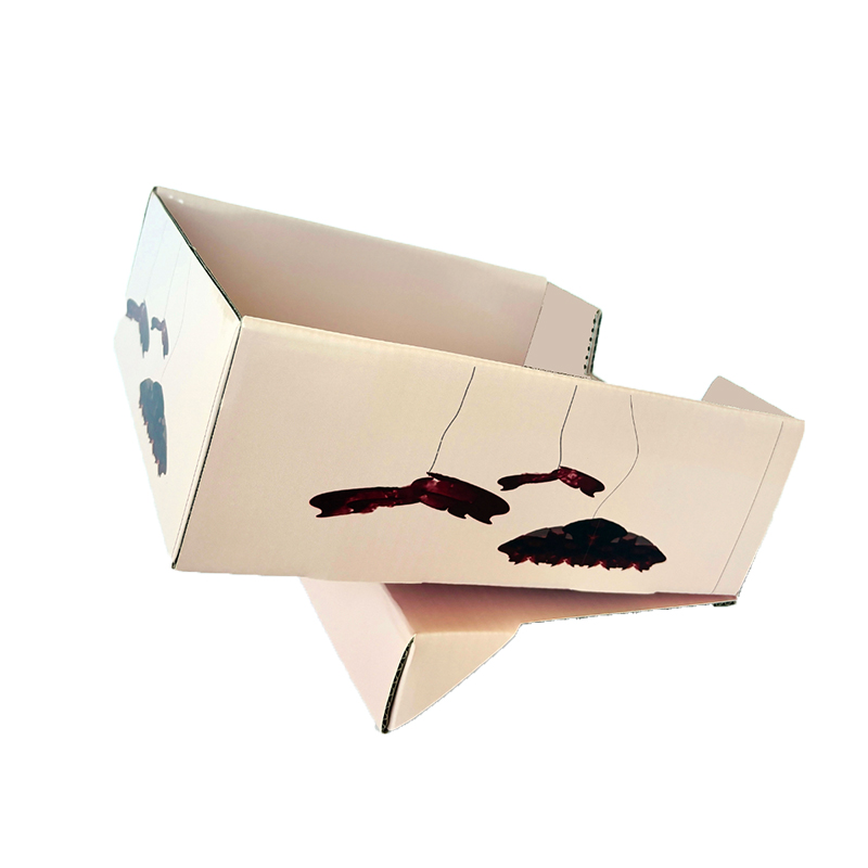 PDQ Quick-Plack Packal Cutie de ambalare ecologică, cutie cadou pliabilă